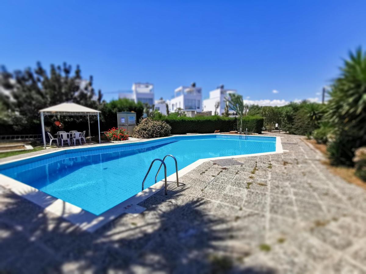 Moon-Light Studio Hotell Larnaca Exteriör bild